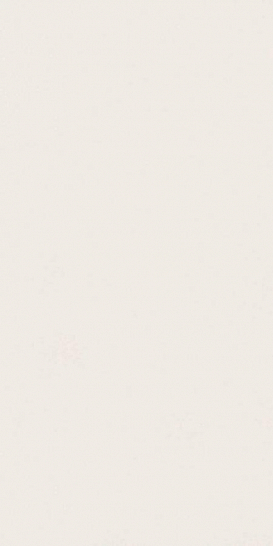 Atlas Concorde Италия Керамогранит Absolute White Matte 160x320