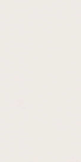 Atlas Concorde Италия Керамогранит Absolute White Matte 6 mm ST (A07Z)