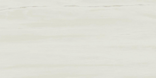 Atlas Concorde Италия Керамогранит Marvel Bianco Dolomite 30x60 Lappato (D039)