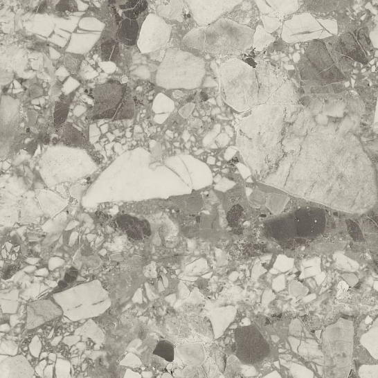 Керамогранит Forte Dei Marmi Ceppo Ap. Pearl Rett 80x80 (610010002722) Atlas Concorde 