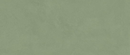 Atlas Concorde Италия Плитка Vivia Crelis Light Green 50x120 Lucido (HHIY)