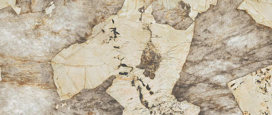 Atlas Concorde Италия Керамогранит Marvel Desert Soul 120x278 Lappato (AFXV)