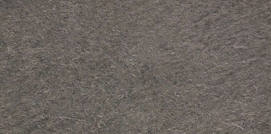 Atlas Concorde Италия Керамогранит Brave Earth 45x90 (AXAH)