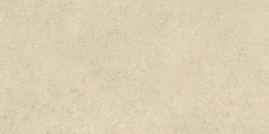 Atlas Concorde Италия Керамогранит Nyra Utopia Acacia 120x240 (HGFC)