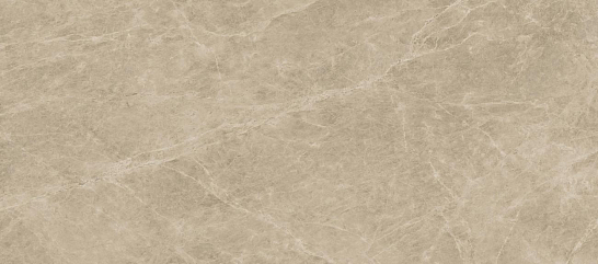 Atlas Concorde Италия Плитка Marvel Elegant Sable 50x120 (A4SM)