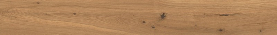 Atlas Concorde Италия Керамогранит Log Amber Oak Forest 18,5x150