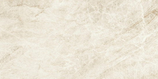 Atlas Concorde Италия Керамогранит Marvel Epic Taj Mahal White 60x120 Lapp.