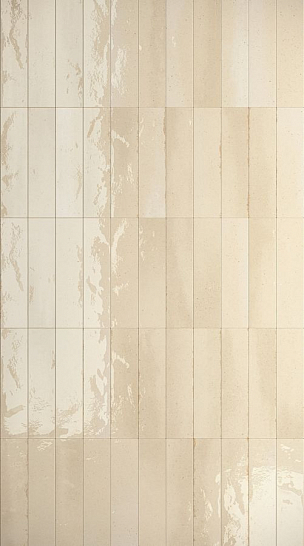 Atlas Concorde Италия Керамогранит Vivia Relief 6x24 Lucido (HHB8)