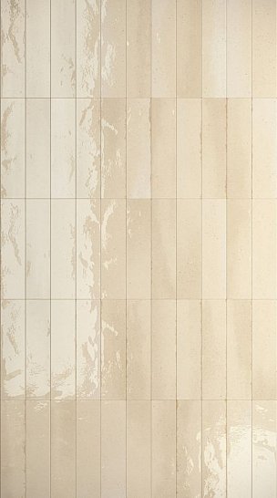 Atlas Concorde Италия Керамогранит Vivia Relief 6x24 Lucido (HHB8)