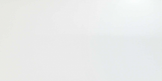 Atlas Concorde Италия Плитка Solid White Glossy 40x80 (8DSL)