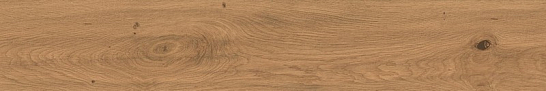 Atlas Concorde Италия Керамогранит Log Amber Oak 20x120