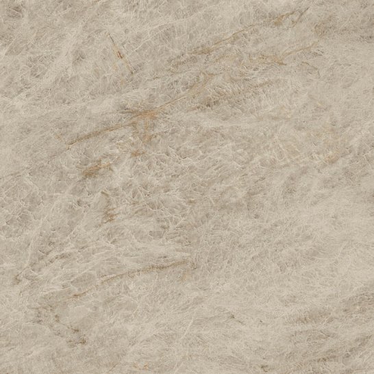 Atlas Concorde Италия Керамогранит Marvel Epic Taj Mahal Noisette 120x120