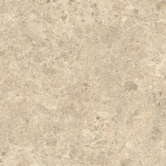 Atlas Concorde Италия Керамогранит NYRA Ambrosia 60x60