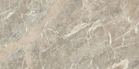 Atlas Concorde Италия Керамогранит Marvel Next Aurelia Vein 60x120 (HGJG)