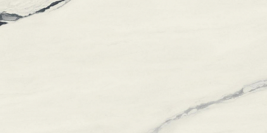 FDM Panda White Rett 60x120/ФДМ Панда Вайт Рет 60x120 (610010003172) Atlas Concorde 