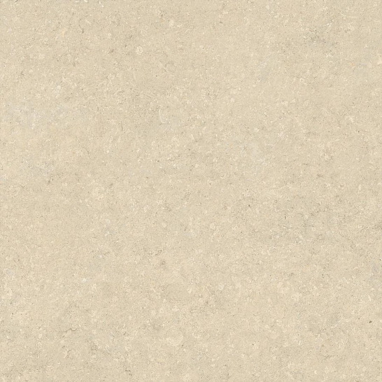 Atlas Concorde Италия Керамогранит Nyra Utopia Acacia 120x120 (HGFN)