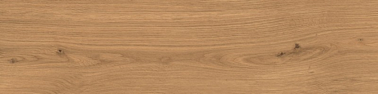 Atlas Concorde Италия Керамогранит Log Amber Oak Forest 30x120 - 20mm