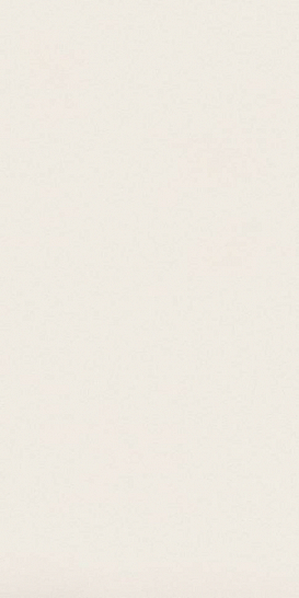 Atlas Concorde Италия Керамогранит Absolute White Matte 159x324 20 mm (AIRU)