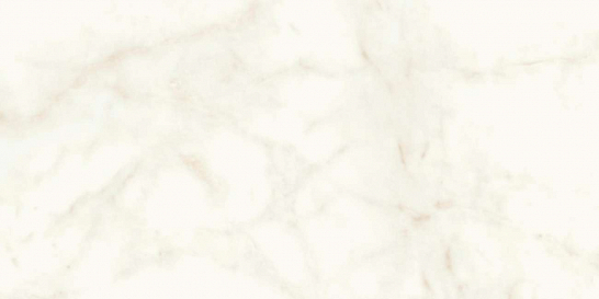 Atlas Concorde Италия Керамогранит Marvel Calacatta Delicato 60x120 Matt (A4QW)