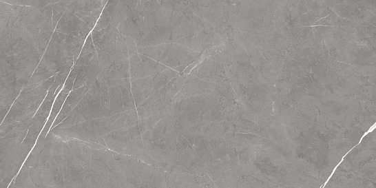 FDM Elegant G. Rett 60x120/ФДМ Элегант Г. Рет 60x120 (610010003173) Atlas Concorde 