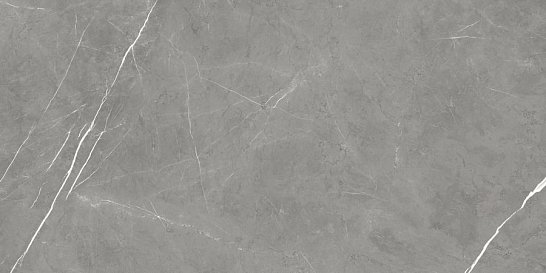 FDM Elegant G. Rett 60x120/ФДМ Элегант Г. Рет 60x120 (610010003173) Atlas Concorde 