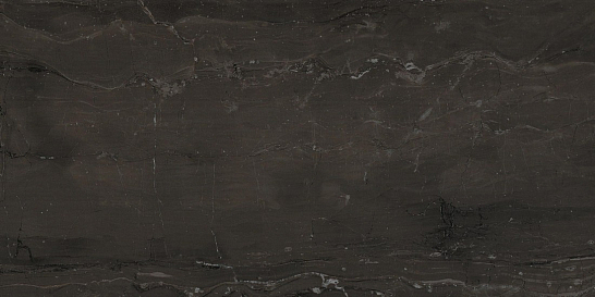 Atlas Concorde Италия Керамогранит Marvel Absolute Brown 30x60 (AEOI)