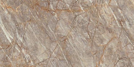 Atlas Concorde Италия Керамогранит Marvel Epic Natural Roots 60x120 Lapp.